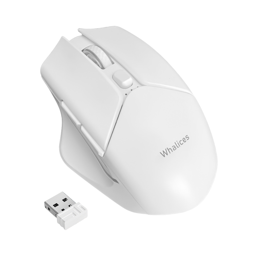 mouse