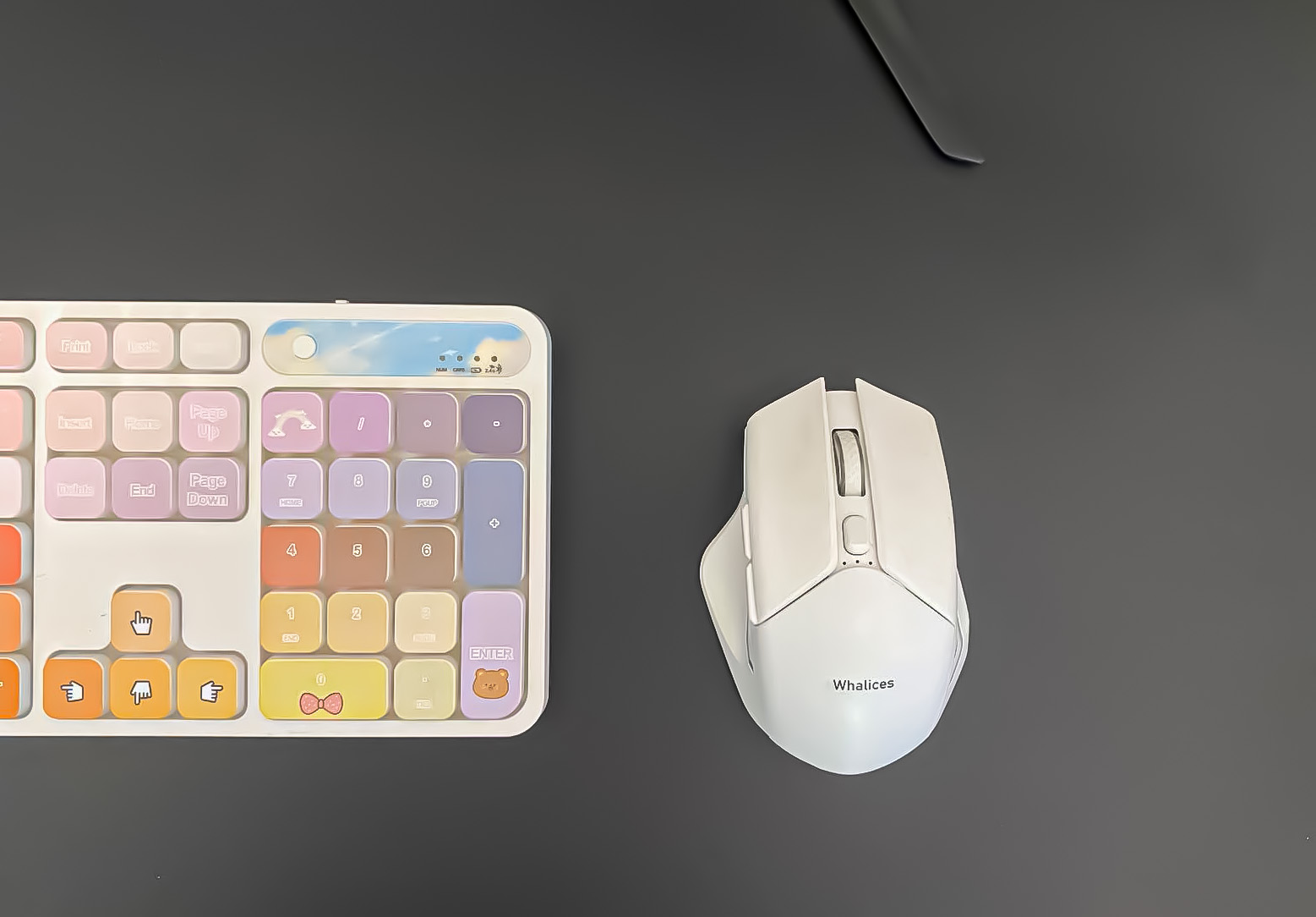 mouse4-2