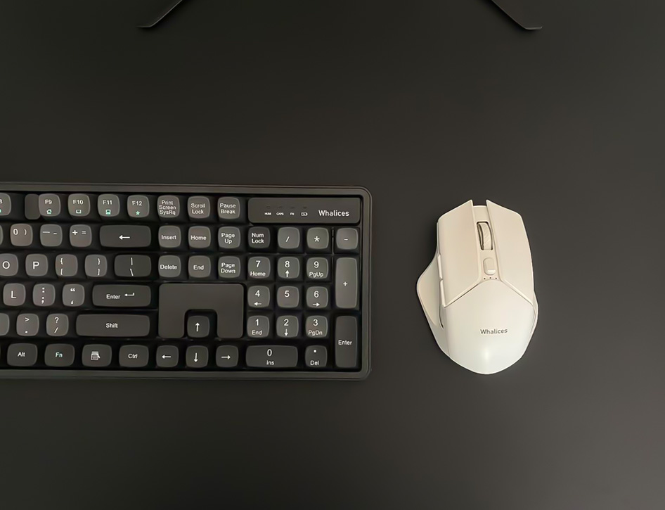 mouse5-2